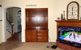 Entertainment Center