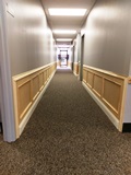 wainscot